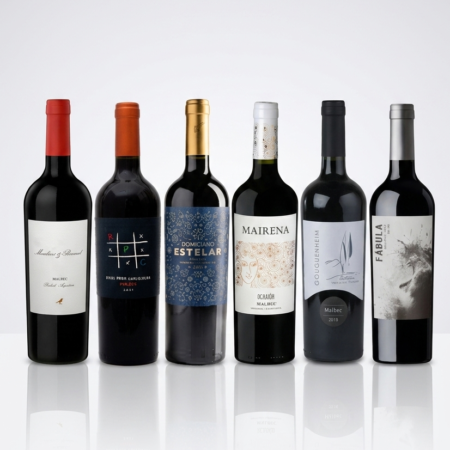 Caja 1 - Solo Malbec Joven